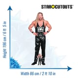 SC4413_Kevin_Nash_NWO_WWE_size