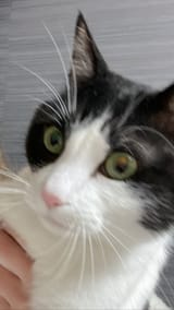 2095