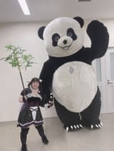 GJtB4i_WUAEmB5o