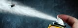 Bug Spray