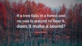 6375646-George-Berkeley-Quote-If-a-tree-falls-in-a-forest-and-no-one-is