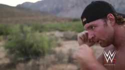 Dean Ambrose - Pure Strikes_thumb.jpg