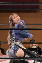 pom-harajuku-v0-vc6zw6t4fmva1