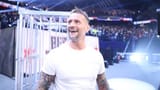 _131814801_punkwwe1