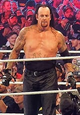 Taker-WM34