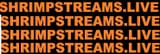 1751106585989575