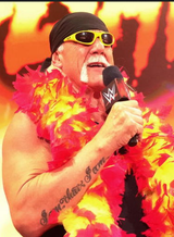 hogan promo