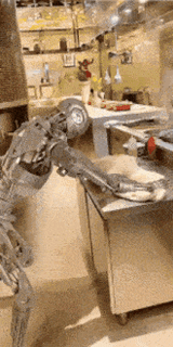 robot-fail-funny