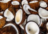 coconuts-1360720378