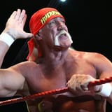 hulkamania
