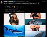 113236