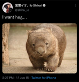 io want hug