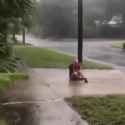 liv rain_thumb.jpg
