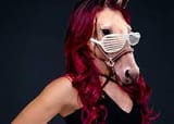SashaBanksIsAHorse