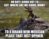 Gators go to dynamite