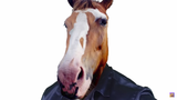 Say his neigh