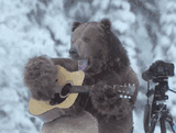 Guitar Bear