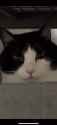 P42EAH8ZwwHjqz9p_thumb.jpg