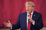 djt