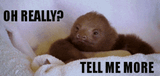 giphy