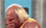 hulk-hogan