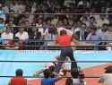 choshu drops tiger hattori_thumb.jpg