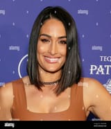 nikki-bella-attends-the-sports-illustrated-super-bowl-party-at-century-city-park-on-february-12-2022-in-los-angeles-california-photo-shea-flynnimagespacemediapunch-2HN3HP9