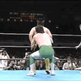 Misawa german