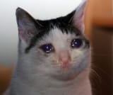 tfw