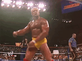 Hulkster
