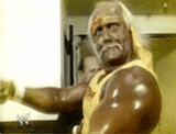 wrestling-wwe-supestar-hulk-hogan-8s13ch31mzr9ey1h