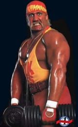 Hogan