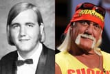 hulk-hogan-split
