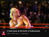 Hulkamania