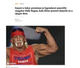 hogan hulk