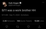 Based Hulkster