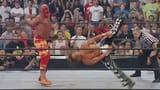 hogan vs michaels