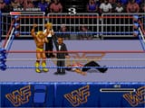hogan-win