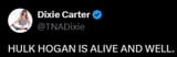 Dixie on Hogan