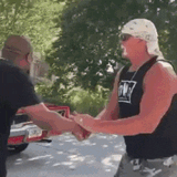 hulk hogan