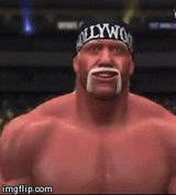 Hulk_Hogan_objective_failed_gif