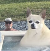 hh