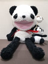 DSIpvt3UQAE7a8O