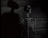 skeleton