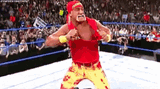 hulk-hogan-wwe