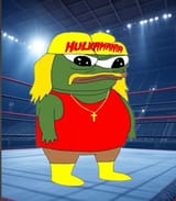 fs hulk