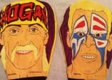 WCWFanHandCover-e1494353897437