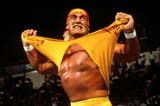 Hulk-Hogan-pourrait-etre-le-mechant-du-film