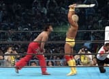 Hogan vs Muta
