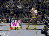 Hulkamania runs wild on Gawker